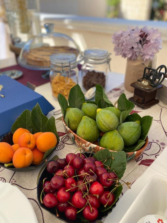 B&B Villa Gallo Torre Squillace Εξωτερικό φωτογραφία